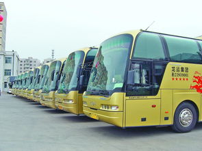 《黑龙江省道路运输条例》10月1日起施行 规范道路货物运输站经营