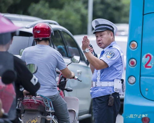 落实 三大责任 做实 三大警务 强化 五大保障 2021年全市公安交管工作会议召开